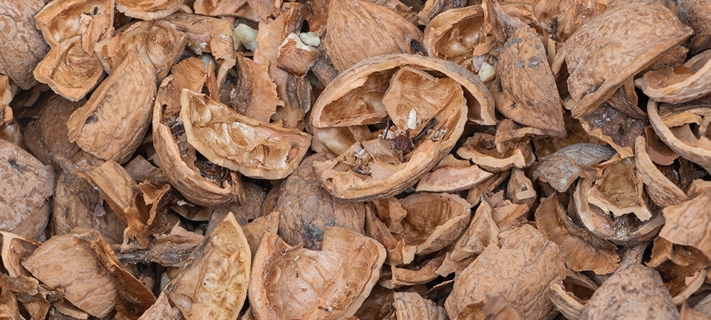 Ceviz kabuğu neye iyi gelir? Ceviz kabuğu saçlar için nasıl kullanılır?