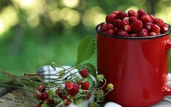 Dağ çileği faydaları nelerdir? Dağ çileği hangi durumlarda tüketim açısından dikkat gerektirir?