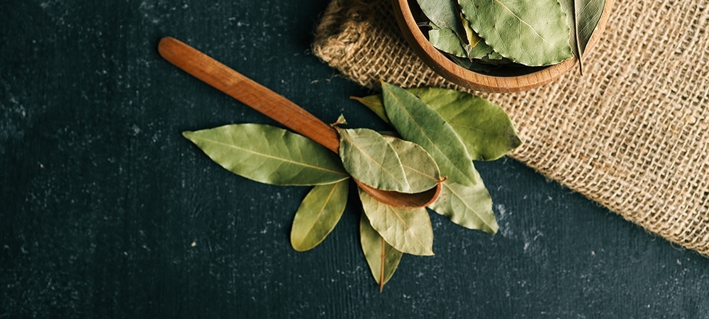 Defne yaprağı neye iyi gelir? Defne yaprağı nasıl kullanılır?