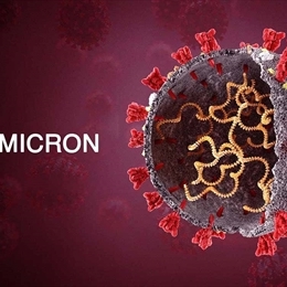 Delmicron Varyantı Nedir? 