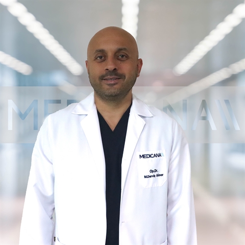 Mehmet Derviş Güner