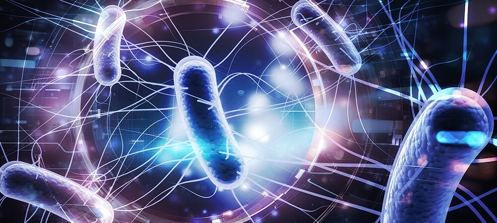 Dizanteri nedir? Dizanteri belirtileri nelerdir?