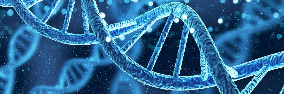 DNA Testi Nedir? 