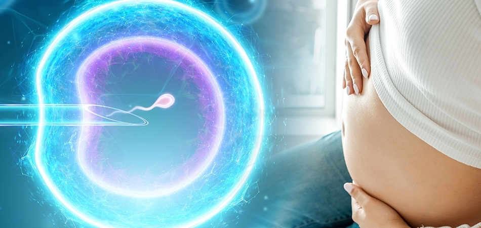 Döllenme nedir? Döllenme belirtileri nelerdir?