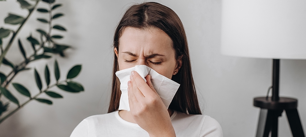 Domuz gribi nedir? Domuz gribinin belirtileri nelerdir?