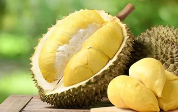 Durian nedir, besin değeri nasıldır? Durian faydaları