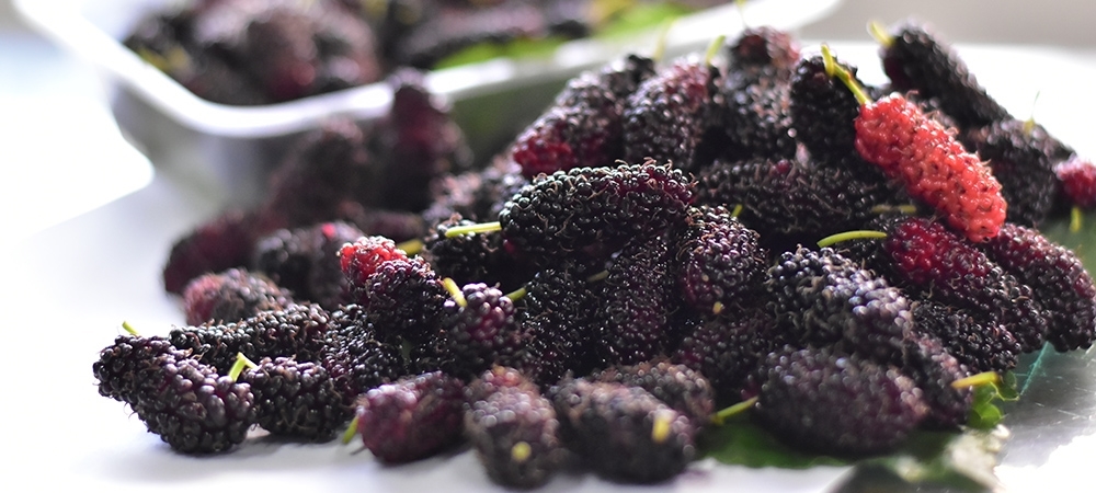 Dutun faydaları neler? Dutun besin değeri nedir?