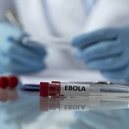 Ebola Virüsü Nedir ve Belirtileri Nelerdir? Nasıl Tedavi Edilir?