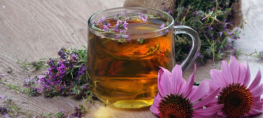 Ekinezya çayının faydaları neler? Ekinezya nasıl tüketilmeli?