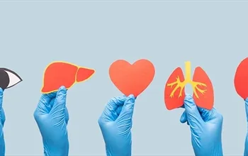 En hızlı iyileşen organ hangisidir? Hangi organ kendini yeniler?