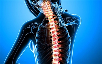 Tüm omurga ameliyatlarında mikrocerrahi kullanılabilir mi?