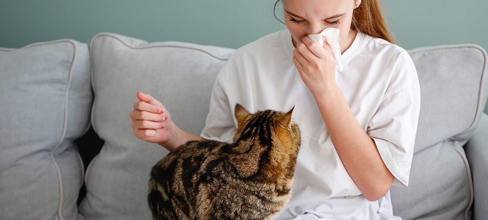 Evcil hayvan alerjisi nedir? Evcil hayvan alerjisinin belirtileri ve tedavisi neler?