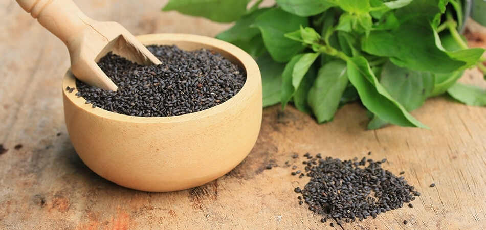 Fesleğen tohumunun faydaları neler? Fesleğen tohumu içeceği nasıl yapılır?