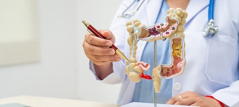 Gastroloji nedir, ne yapar? Gastroenteroloji bölümü neye bakar?