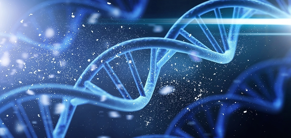 Gen nedir? Gen nasıl çalışır?