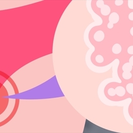 Genital Siğil