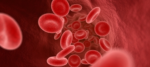 HCT (Hematokrit) nedir? HCT düşüklüğü/yüksekliği ne anlama gelir?