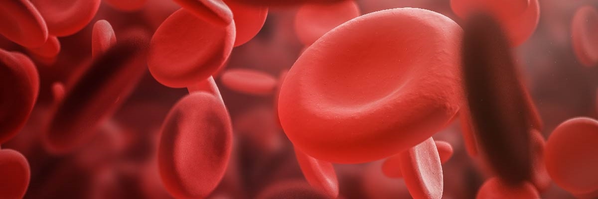 Hemofili Nedir, Belirtileri ve Tedavi Yöntemleri Nelerdir?