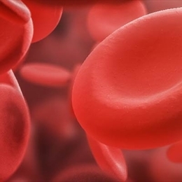 Hemofili Nedir, Belirtileri ve Tedavi Yöntemleri Nelerdir?