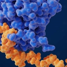 Heparin Nedir?