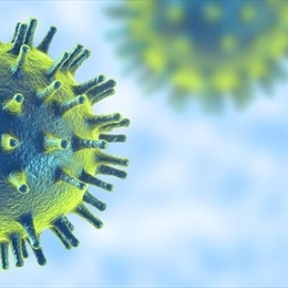 Hepatit D Nedir ve Tedavisinde Ne Yapılır?