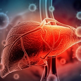 Hepatit A Nedir? Belirtileri, Tedavisi & Bulaşma Yolları