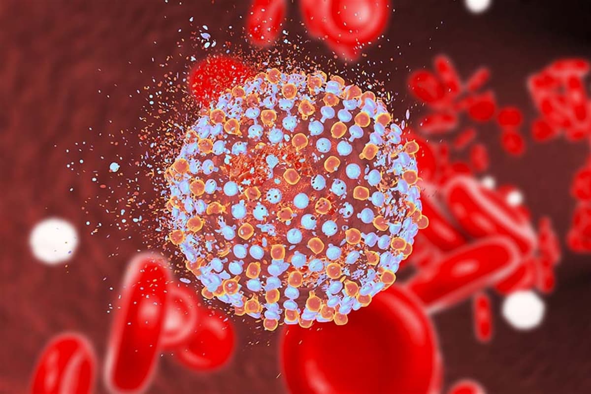 Hepatit C Nedir ve Tedavisi Nelerdir?