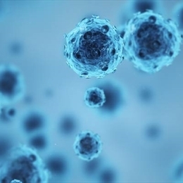 Herpes Virüsü Enfeksiyonları Nelerdir?