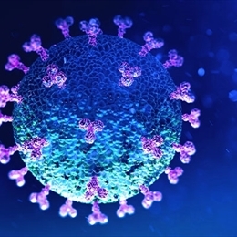 Hibrit Virüs Nedir?