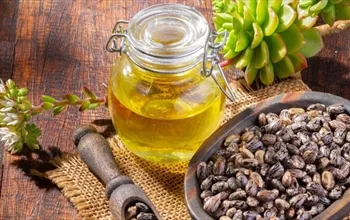 Hint yağı ne işe yarıyor? Hint yağının saça faydaları neler?