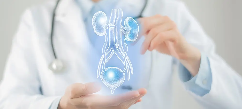 İdrar yolu enfeksiyonu nedir? İdrar yolu enfeksiyonu belirtileri ve tedavisi... İdrar yolu enfeksiyonu nedir? İdrar yolu enfeksiyonu belirtileri ve tedavisi...