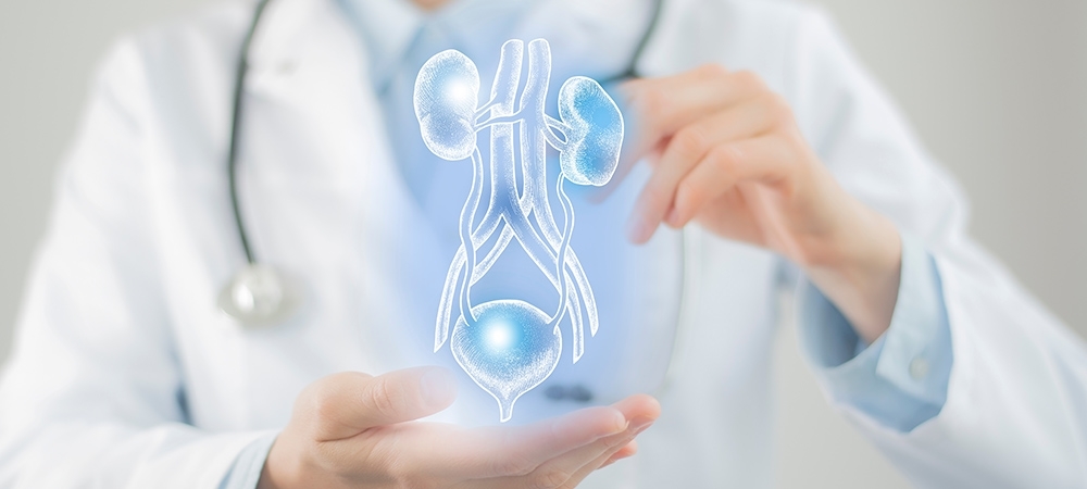 İdrar yolu enfeksiyonu nedir? İdrar yolu enfeksiyonu belirtileri ve tedavisi...