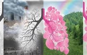 Akciğer Kanseri En Sık Rastlanan Kanser Türlerinin Başında Yer Alıyor