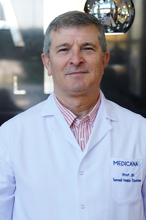 İsmail Hakkı Özerhan