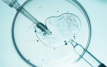 Tüp bebek sonrası kanama: Nedenleri, anlamı ve ne zaman müdahale gerekir?