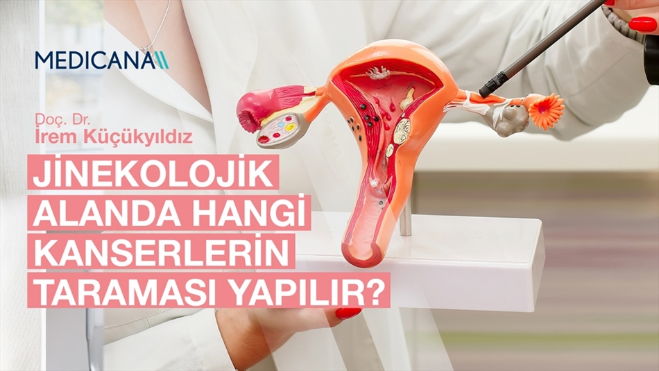 Jinekolojik Alanda Hangi Kanserlerin Taraması Yapılır?