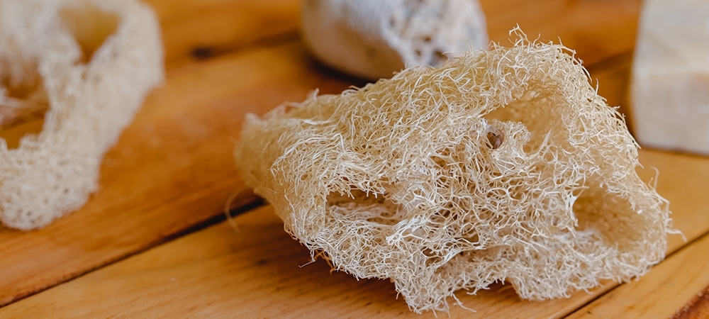 Kabak lifi nedir? Kabak lifi ne işe yarar?