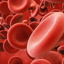 Kanama Çeşitleri Nelerdir?