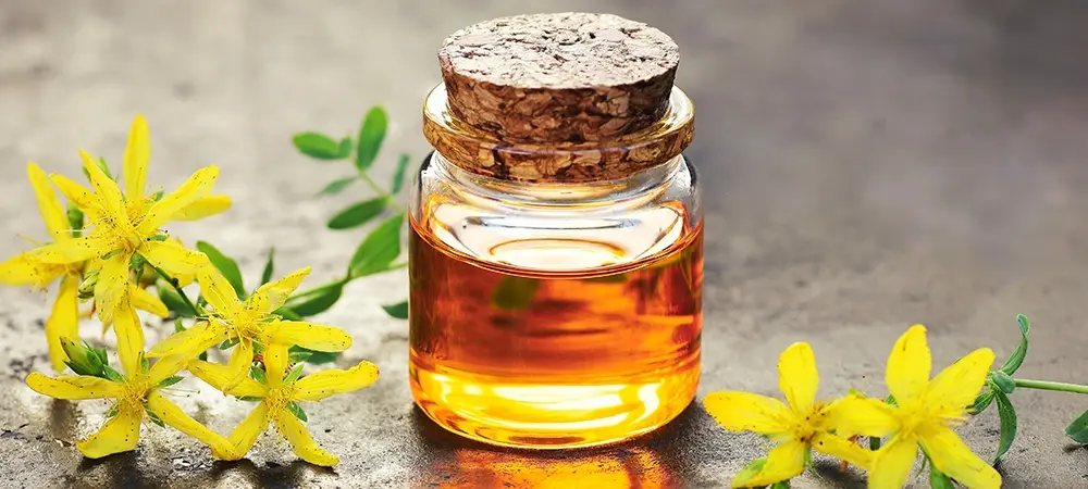 Kantaron yağı yanığa iyi gelir mi? Kantaron yağı nasıl kullanılır? Kantaron yağı yanığa iyi gelir mi? Kantaron yağı nasıl kullanılır?