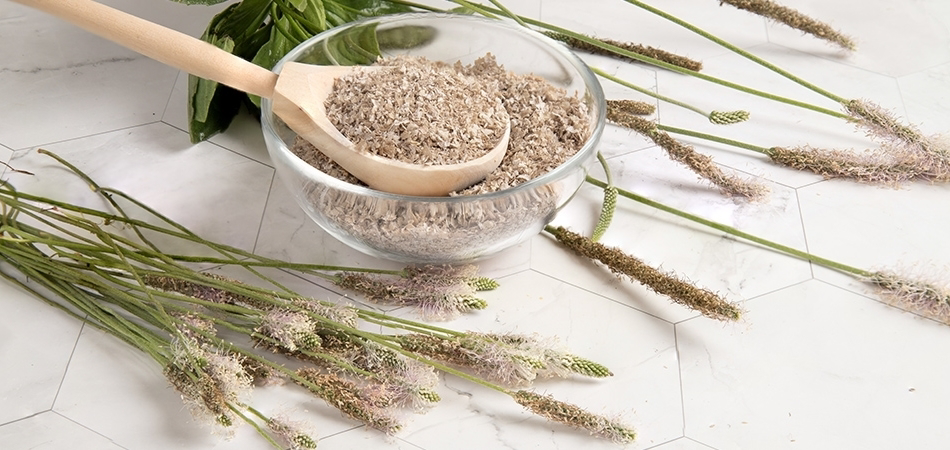 Karnıyarık otu nedir? Karnıyarık otu ne işe yarar?