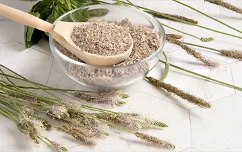 Karnıyarık otu nedir? Karnıyarık otu ne işe yarar?