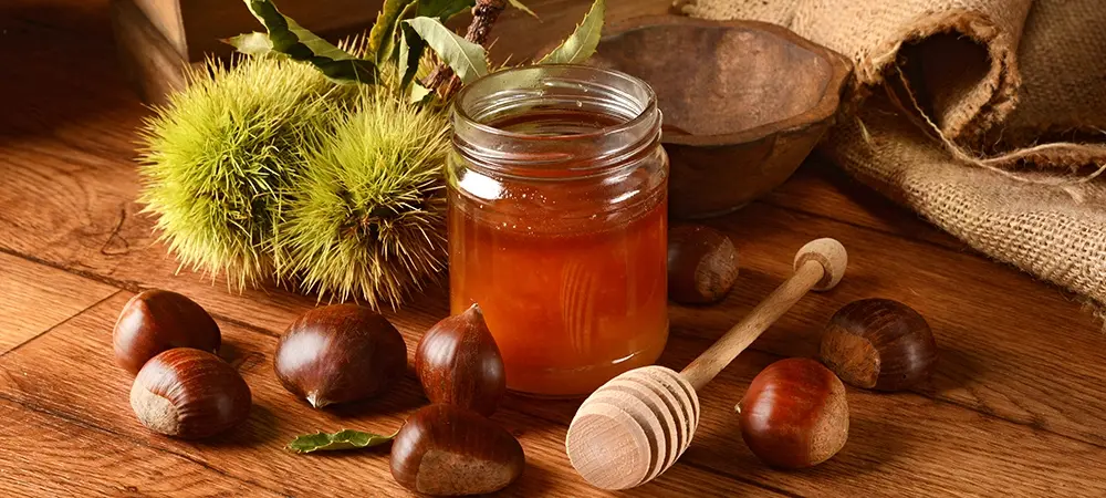 Kestane balı neye iyi gelir? Öksürük için kestane balı nasıl kullanılır?