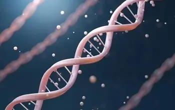 Kolajen ne işe yarar? Doğal kolajen nedir?