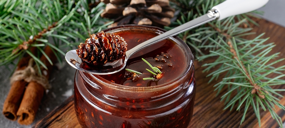 Kozalak şurubunun faydaları var mı? Kozalak şurubu kaç gün içilmeli?