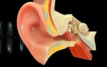 Kulak kristalleri nedir? Kulak kristalleri oynaması belirtileri nelerdir?