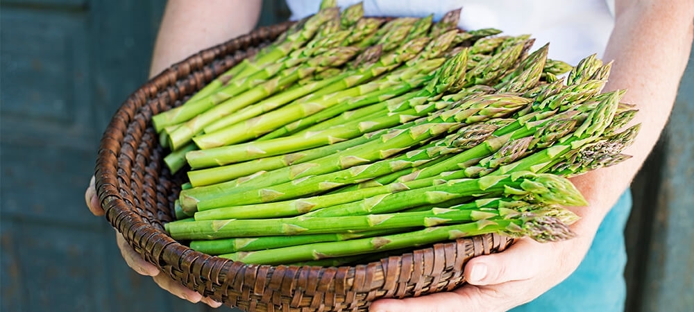 Kuşkonmaz nasıl tüketilir? Kuşkonmazın besin değeri ve içeriği
