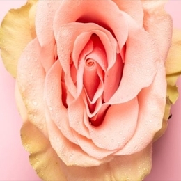 Mastürbasyon Nedir? 