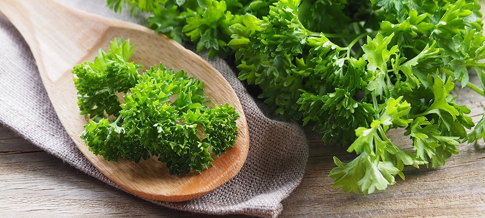 Maydanoz kürü nelere iyi gelir? Maydanoz kürü nasıl yapılır?