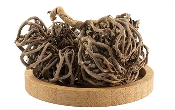 Meryem ana otu nedir? Meryem ana otunun faydaları nelerdir?