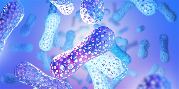 Mikrobiyom ve Mikrobiyota Nedir? Zihin Sağlığına Etkileri Nelerdir?